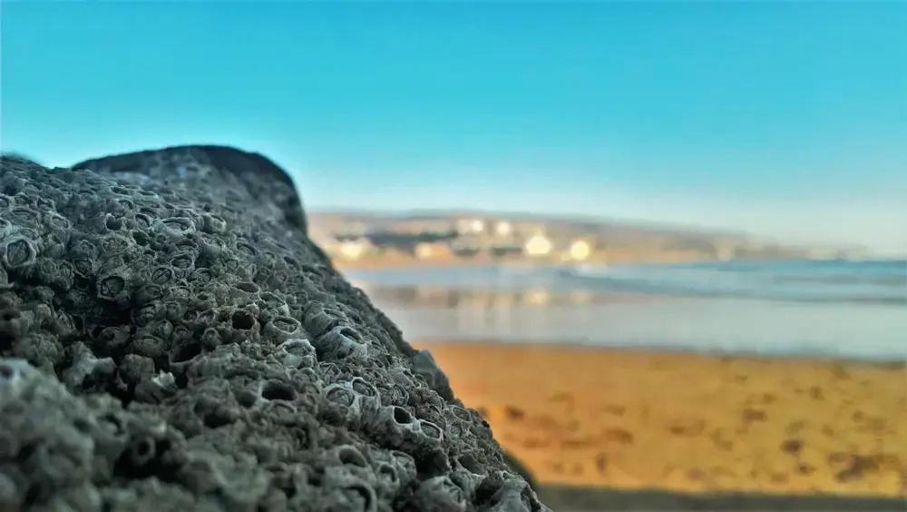 Apartamento Baya House Sea View Agadir Exterior foto